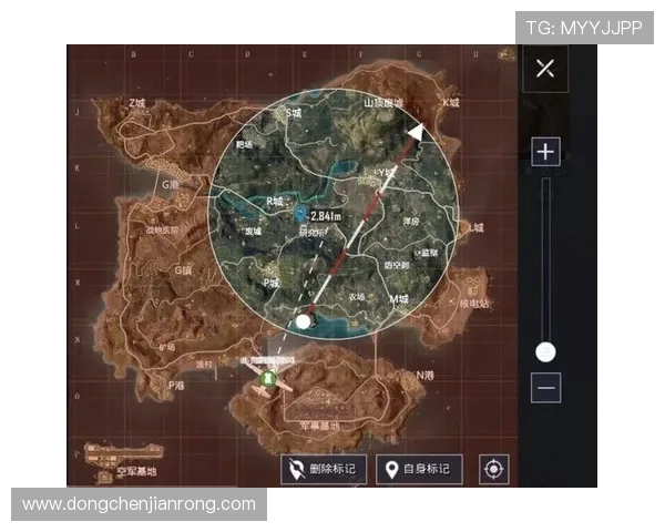 和平精英深度分析：探讨JDG战队的心理素质与竞技表现的关系