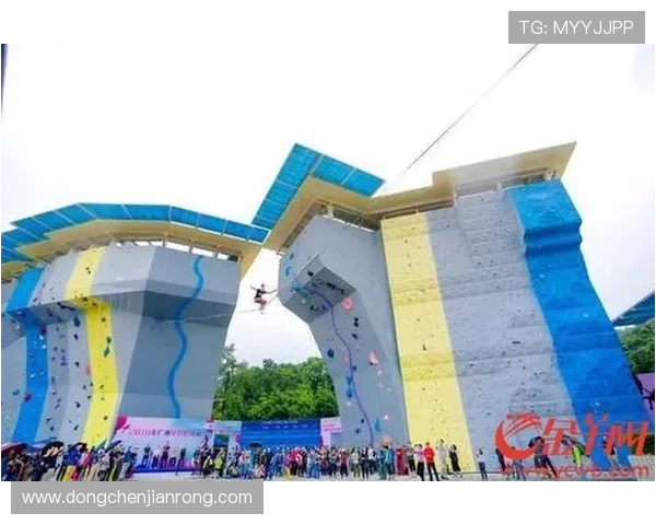 广州攀岩队的区域防守策略与技术深度解析