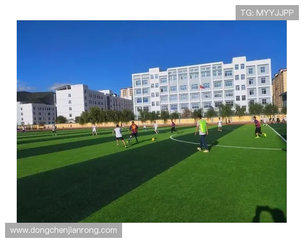 张秀英独家分享网球技巧与心得体会助你提升球技和比赛表现