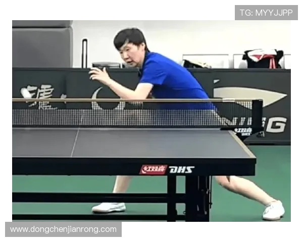 成都乒乓球队的训练与比赛状态全景揭秘乒乓球巨献 成都乒乓球队的训练与比赛状态全景揭秘乒乓球巨献