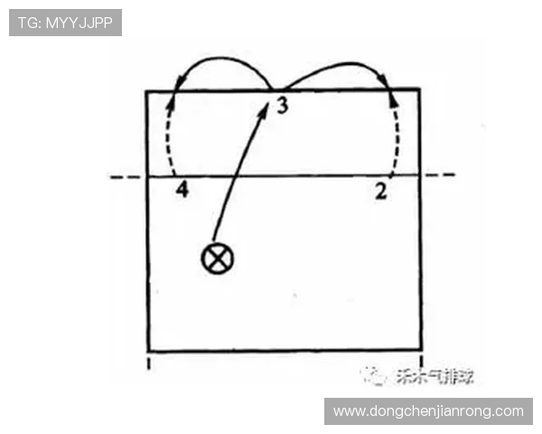 排球新手必看：轻松掌握配合技巧的入门指南与实用建议