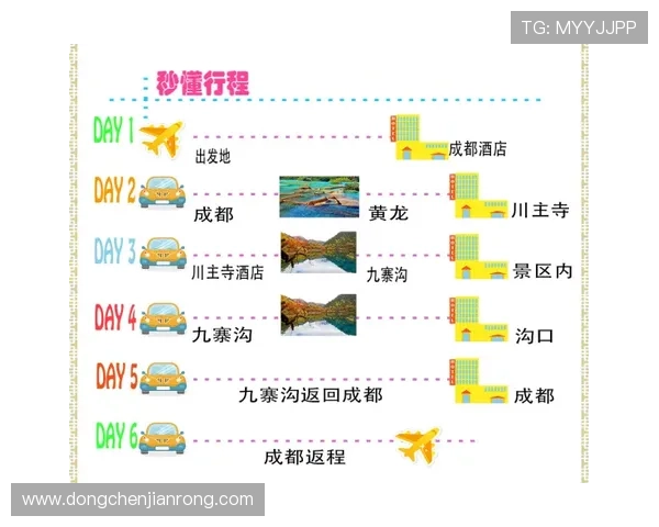 成都飞盘队的节奏变化与战术调整分析及其对比赛结果的影响